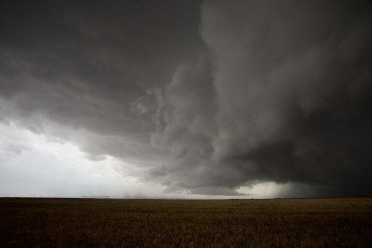 Dark storm clouds loom over a field.