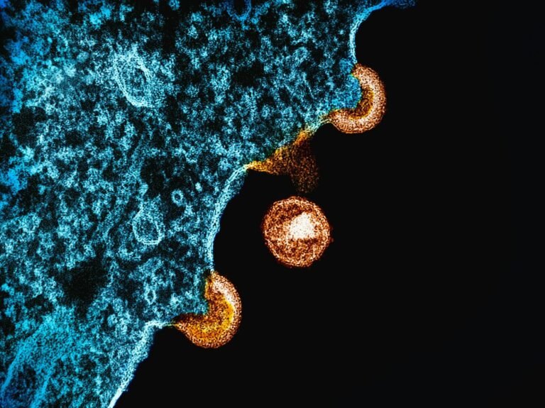 Climate Change Linked To Emerging Epidemics and Pandemics​