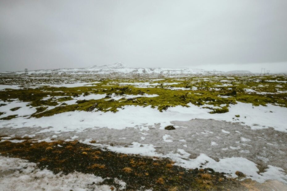 Snow covers a field under a cloudy sky